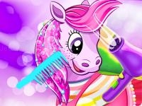 Pony pet salon game