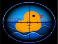 Duck shoot