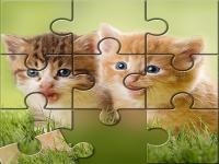 Cute cats puzzle game ftree