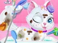 Animal daycare pet doctor