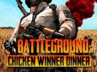 Pubg chicken winner