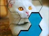 Blocks hexa jigsaw puzzle™