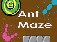 Ant maze