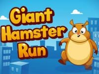 Giant hamster run