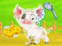 Baby taylor farm tour caring animals