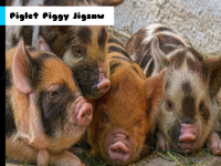 Piglet piggy jigsaw