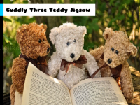 Cuddly three teddy jigsaw