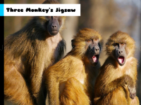 Three monkey's jigsaw