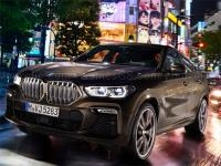 Bmw x6 m50i puzzle