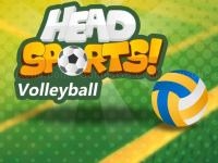 Head sports volleyball