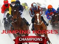 Jumping horses champions